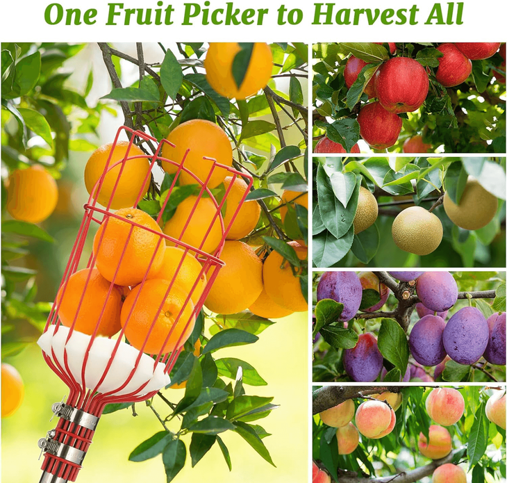 THE PC DOCTOR:  COMPUTER SERVICE CENTER